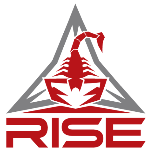 RISE ARMAMENT