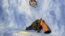 USED SMITH & WESSON MODEL 10-5 38 SPECIAL