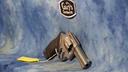 USED TAURUS MODEL 65 357 MAGNUM STAINLESS 4" BBL