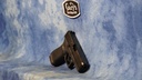 GLOCK UMA195S203MOS G19M GEN 5 M.O.S. 9MM LUGER 15+1 4.02"