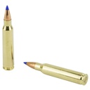 Fiocchi 223rem 40gr Vmax 50/1000