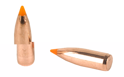 Nosler 22 Cal 55gr 100ct