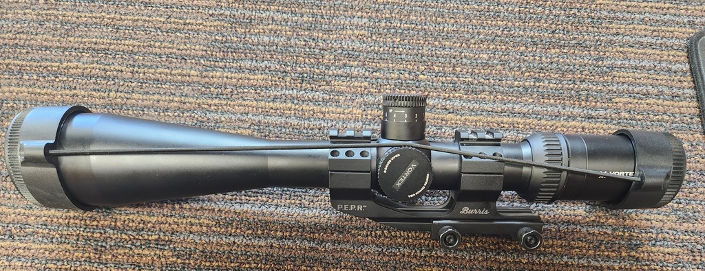 viper side 2.jpg