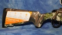 DSC02599.JPG