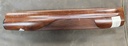 montefeltro forearm1.jpg