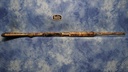 DSC05983.JPG