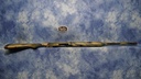 DSC06525.JPG