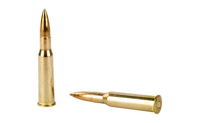 SELLIER & BELLOT SB76254RA 7.62X54R 180 GRAIN FMJ 20RNDS (3)