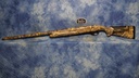 DSC07251.JPG