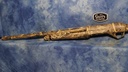 DSC07331.JPG
