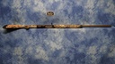 DSC07300.JPG