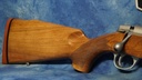 DSC07487.JPG