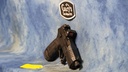 DSC07620.JPG