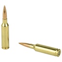 Fed Gold Mdl 6mmcrd 107gr Smk 20/200