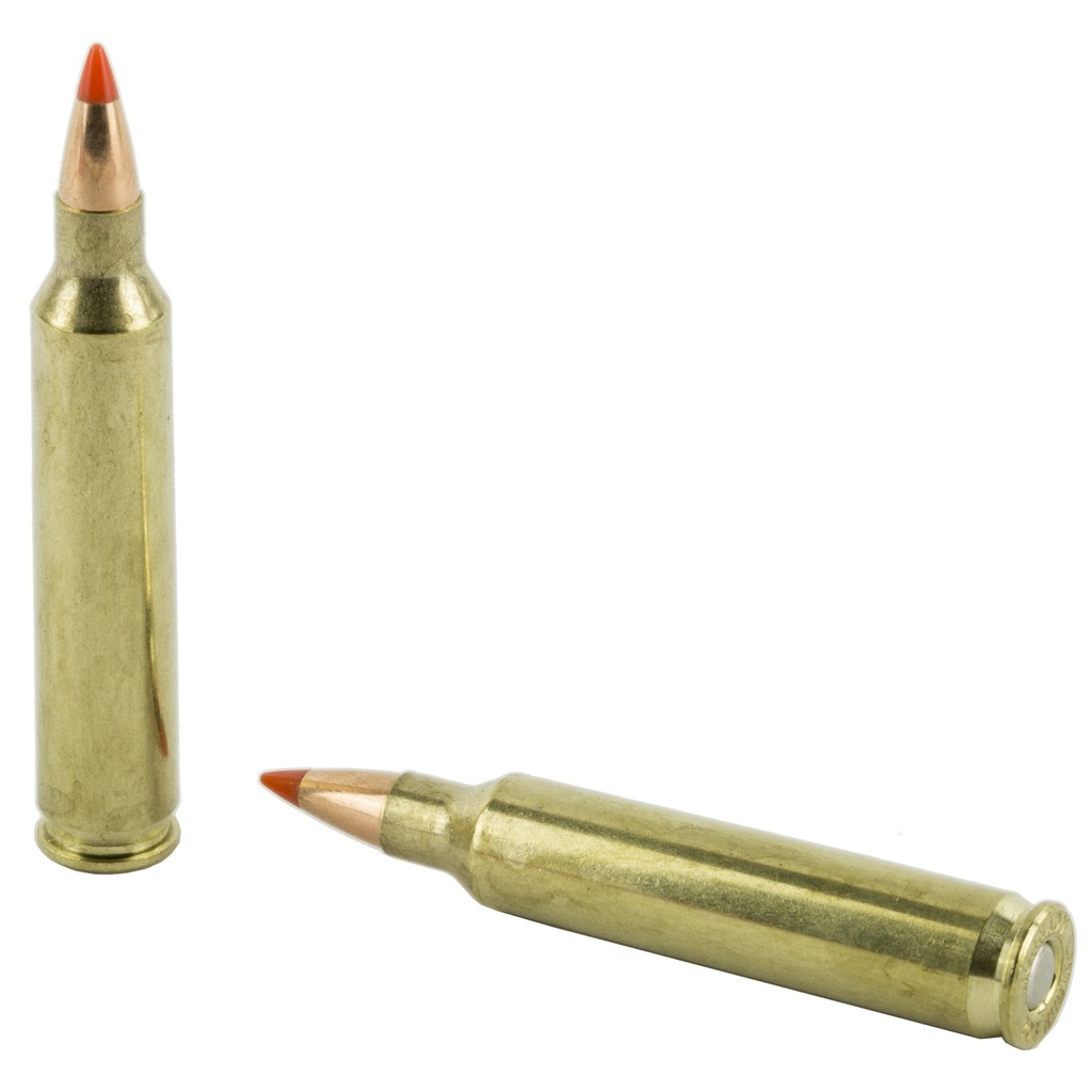 Hrndy 204ruger 32gr Vmax 20/200