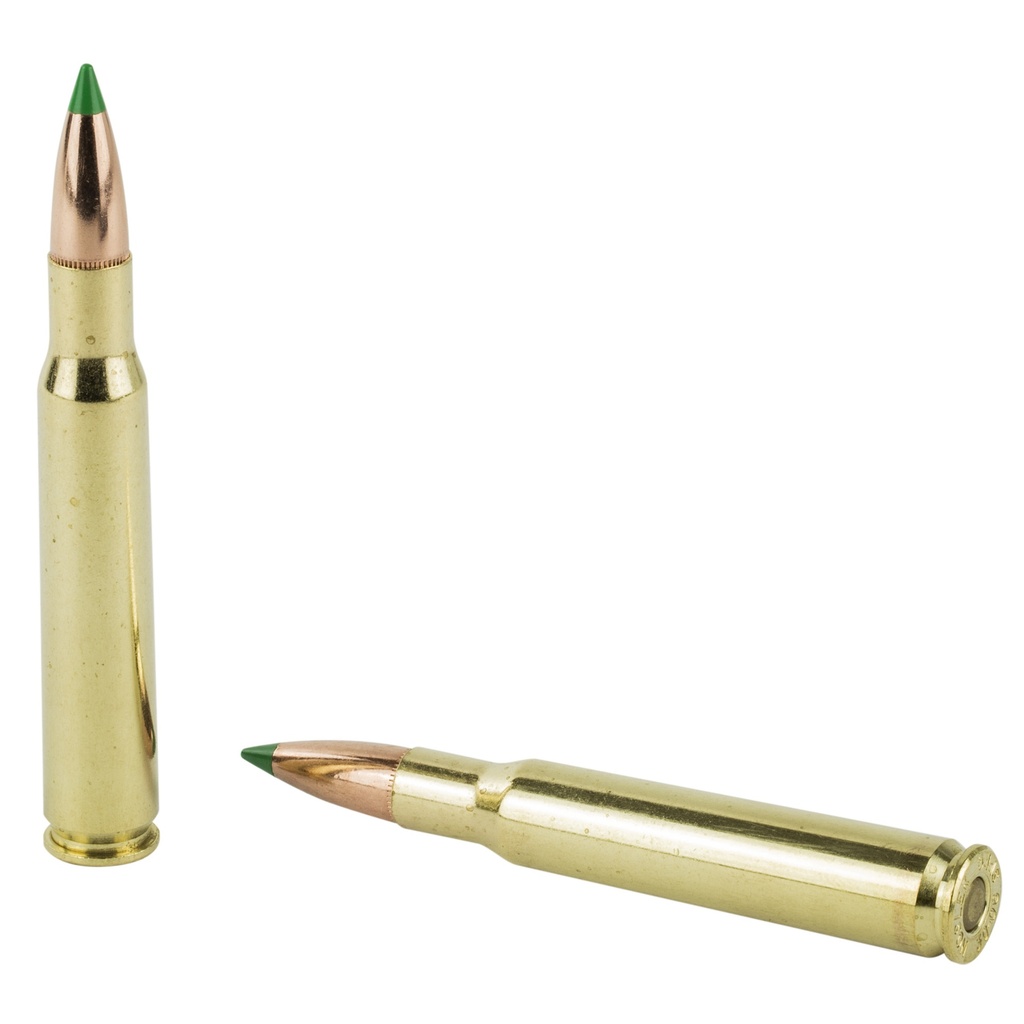 Nosler 30-06sp 165gr Bt 20/200