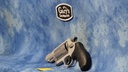USED SMITH & WESSON GOVERNOR 45 LC/410 GA/45 ACP SILVER