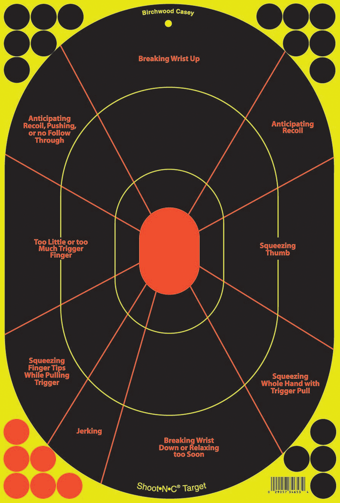 BIRCHWOOD CASEY SHOOT-N-C HANDGUN TRAINER TARGET