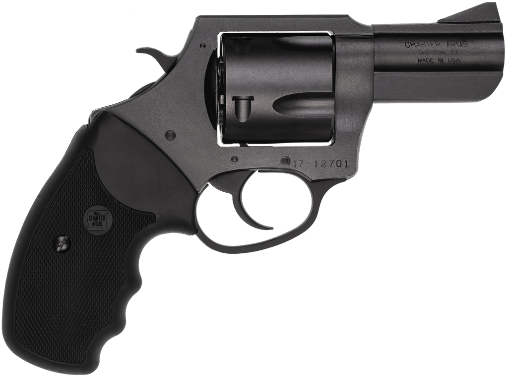 CHARTER ARMS 64520 PITBULL 45 ACP, 5 SHOT 2.50"