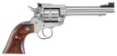 RUGER 8100 SINGLE TEN 22 LR 5.5" STAINLESS