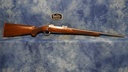 RUGER 67113 HAWKEYE 250TH ANN 308 WIN STAINLESS 20" BBL