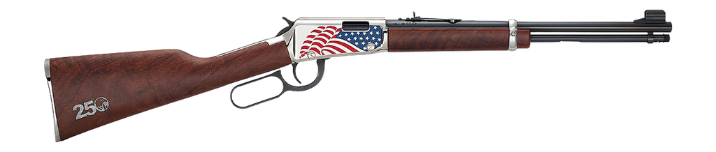 HENRY H001Y-250 H1 250 TH 22 LR BL/WD 20" BBL