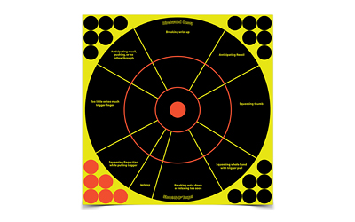 BIRCHWOOD CASEY BC-34032 SHOOT-N-C HANDGUN TRAINER TARGET