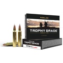 NOSLER TG 223 REM 70GR AB 20 RNDS  61036